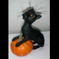 Pumpkin Cat